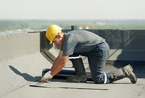 Best Insulation Maintenance and Repair in Princeton Meadows, NJ