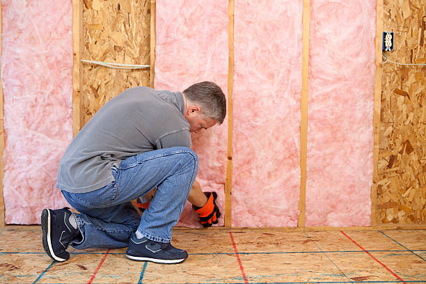 Best Commercial Insulation in Princeton Meadows, NJ